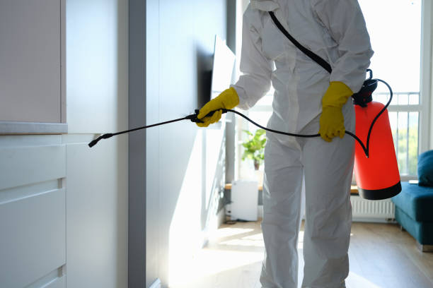 Best Emergency Mold Removal  in Spokane, WA